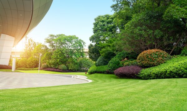 Commercial Shrub Trimming in South Bend