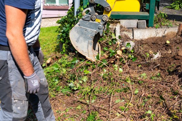 Hedge Removal Service in South Bend