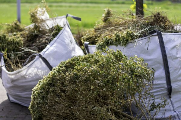 Cost of Shrubs Removal in South Bend