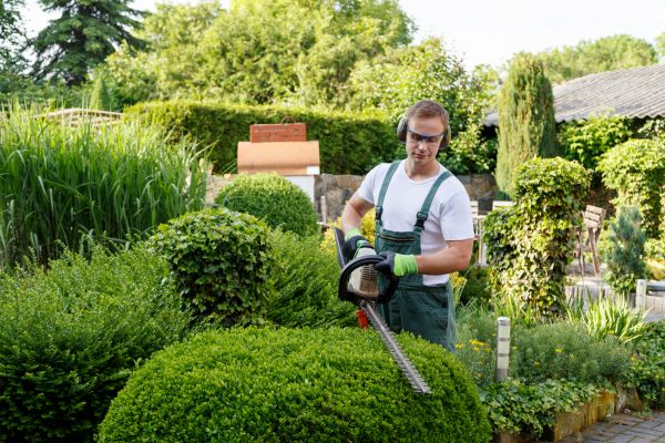 Shrubs Trimming in South Bend