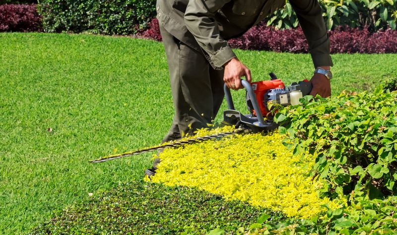 Bush Trimming Service