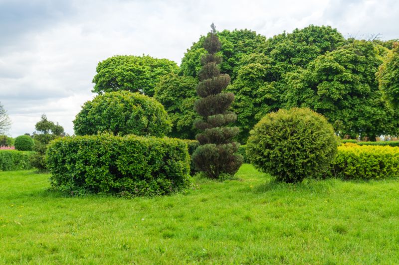 Artistic Shrub Shaping