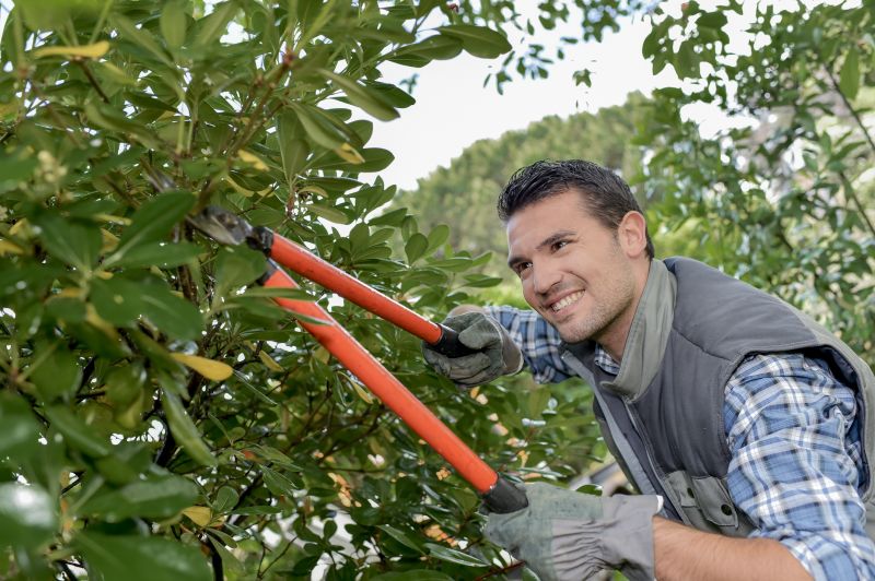 Shrub Trimming